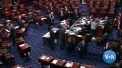 US Senate Scrutinizes Saudi, UAE Arms Sales