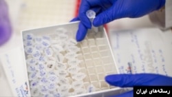 توالی‌یابی ژنومی در ایران به اندازه کافی انجام نمی‌شود. آرشیو