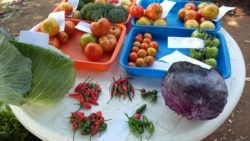 Preços da comida e transporte pressionam custo de vida em Moçambique - 1:46