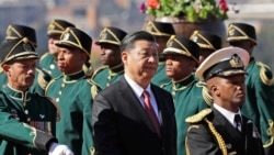 貿易是習近平南非國事訪問的重要議程