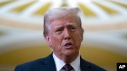 FILE - President-elect Donald Trump talks to reporters after a meeting with Republican leadership in Washington, Jan. 8, 2025.