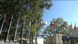 П’ята річниця початку окупації Росією Криму. Cпеціальне засідання Ради безпеки ООН. Відео