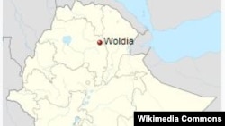 ከተማ ወልዲያ