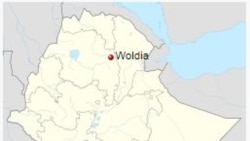 ኣብ ኢትዮጵያ ከተማ ወልዲያን ከባቢኡን ብዘሎ ኲናት ነበርቲ ካብ መንበሪኦም ይወጹ ምህላው ተገሊጹ