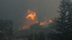 ကယ်လီဖိုးနီးယား တောမီးကြောင့် လူ ၁၅ ဦးသေဆုံး