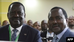  Raila Odinga (Kushoto) na Kalonzo Musyoka.
