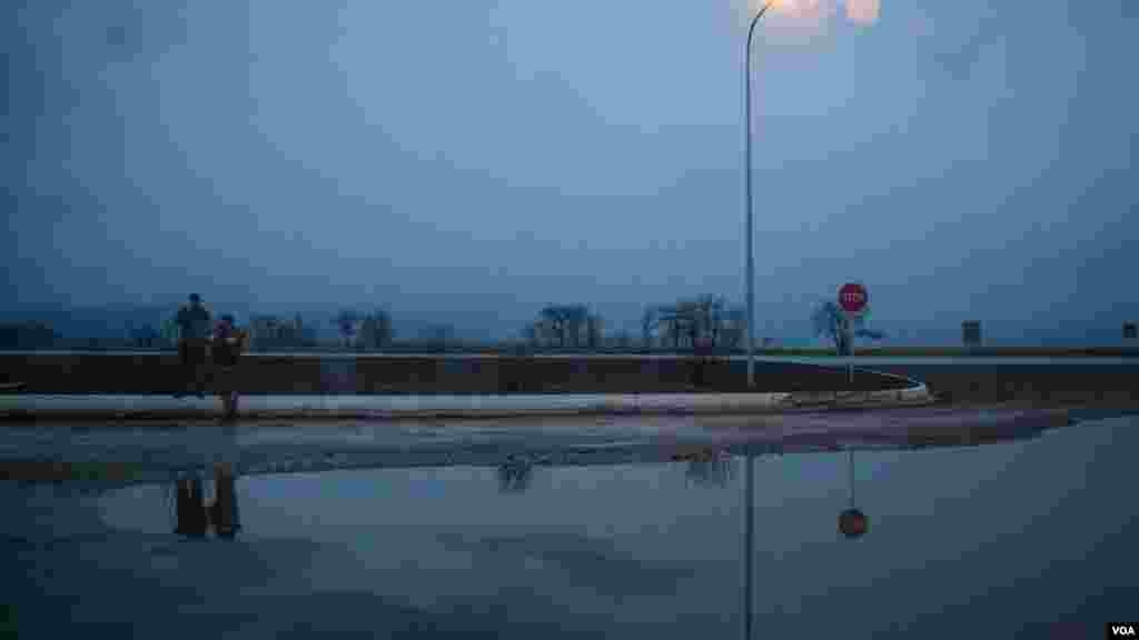 Soja Ukraine a Garin Pervomais'ke, Ukraine. (Adam Bailes/VOA)