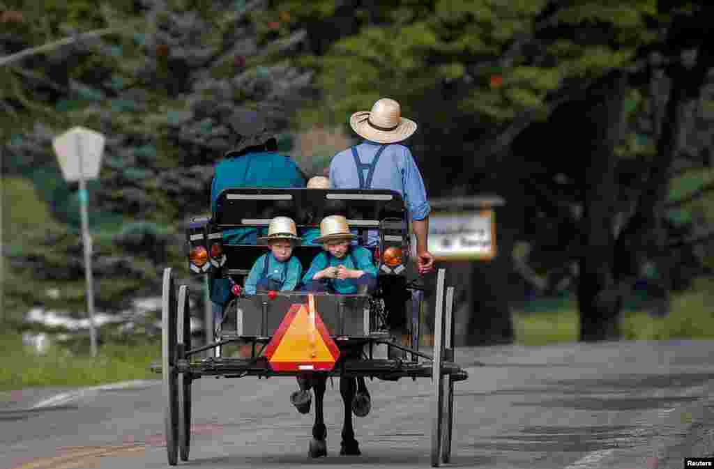 An Amish family travels by horse and buggy down a road in New Albion, New York.