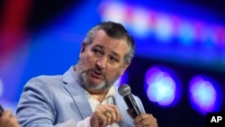 تد کروز، سناتور جمهوریخواه