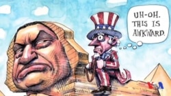 Satira - AQSh siyosatining ajralmas qismi