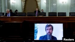 推特总裁多西2020年10月28日通过视讯在参议院作证（路透社）