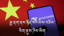 རྒྱ་ནག་གི་མིས་བཟོས་རིག་ནུས་ Deepseek།