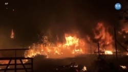 2020 Pandemiye Ek Olarak Çevre Felaketleri Yılı da Oldu