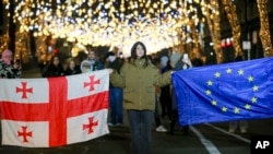 На митинге в поддержку европейской интеграции Грузии у здания парламента в Тбилиси. 22 декабря 2024 года.