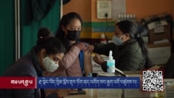 རྡ་སྟེང་བོད་ཁྱིམ་སློབ་གྲྭར་ཏོག་ནད་འགོག་ཁབ་རྒྱག་འགོ་བཙུགས་པ།