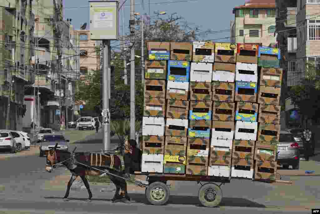 A Palestinian man rides his donkey cart loaded with boxes in Gaza city.