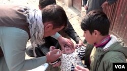 با وجود نا امنی ها و تهدید کروناویروس، ولایت لغمان هنوز هم عاری از واقعات پولیو است