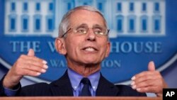 Pakar penyakit menular Amerika, Dr. Anthony Fauci