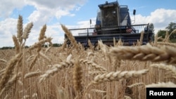 زمین زراعتی در منطقهٔ دونباس اوکراین