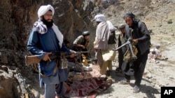 Tolibon jangarilari. Hirot, Afg'oniston, Arxiv. 