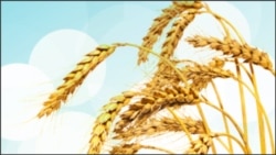 Scientists Predict Wet Winter for Dry American West