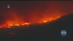 Через пожежі в Каліфорнії знеструмлено сотні тисяч будинків. Відео