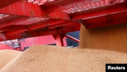 2018年4月4日，在中國江蘇南通的一個港口進口的大豆。中國對美國增加關稅的商品以農產品和汽車為主，包括大豆。 