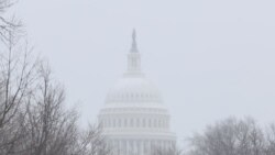 미 상원, 다음 주 ‘트럼프 2기 국가안보팀’ 인준 청문회 개최