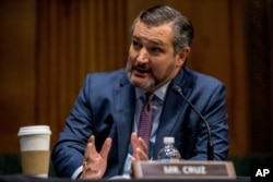 테드 크루즈 공화당 상원의원