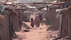 Pokistondagi afg'on muhojirlari