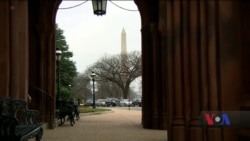 Тимчасове закриття уряду США: день 21-й. Відео