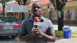 'Jwèt Politik k Ap Fèt' - Ayisyen Miami Reyaji sou Akizasyon Migran Ohio ap Manje Chat ak Chen Moun