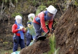 FILE - Mine detectors are used to search for landmines in Antioquia province, Colombia, Nov. 19, 2015.