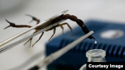 Team CCC Sprandi Polkowice's cyclists compete in the men's Team Time Trial race during the UCI Cycling Road World Championships in Innsbruck, Austria.