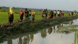 ရိုဟင်ဂျာတွေ နေရပ်ပြန်ရေး အခြေအနေ ဘင်္ဂလားဒေ့ရှ် ကွင်းဆင်းလေ့လာမည်