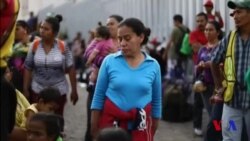 Muhojirlar karvoni AQSh chegarasiga yetib kelgan