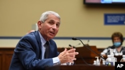 Dr. Anthony Fauci, director of the National Institute for Allergy and Infectious Diseases, speaks during a House Subcommittee on the Coronavirus crisis hearing, July 31, 2020 on Capitol Hill in Washington. 