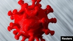 A 3D-printed coronavirus model is seen in front of the words coronavirus disease (Covid-19) on display in this illustration taken March 25, 2020. REUTERS/Dado Ruvic/Illustration