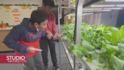 New York: Vrtlarenje kao alat za zdraviju budućnost djece