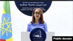 የጠቅላይ ሚኒስትር ዐቢይ አሕመድ የውጭ ሚዲያ ቃል አቀባይ ቢል ለኔ ስዩም