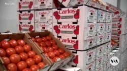 Trump defends need for tariffs on imports from Canada, China, Mexico