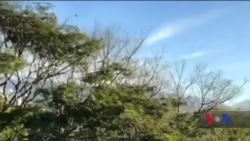 Як переконати Північну Корею відмовитись від програми розробки ядерної зброї? Відео