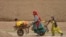 Afghan Kochi nomad girls push wheelbarrows as they fetch water along a street in Daman district of Kandahar province, Feb. 26, 2025.