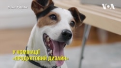 Пристрій українського стартапу Petcube відзначили престижною нагородою. Відео