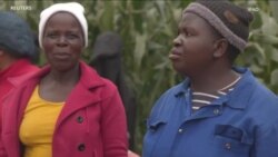  Face à la désertification, le FIDA plaide pour leur soutien des petits agriculteurs