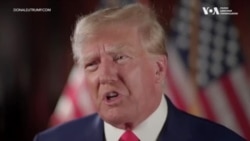 Як вибори у США можуть вплинути на регулювання свободи слова в Інтернеті. Відео