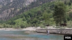 د نورستان ښکلي او په زړه پورې ځنګلونه