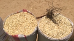 Polícia prende grupo envolvido no desvio de toneladas de milho da Resrva Estratégica Alimentar – 1:57