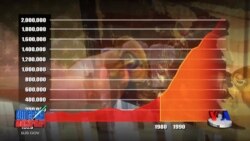 AQShda ikki milliondan oshiq odam panjara ortida