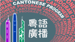 外界評論楊白冰在六四事件當中的角色